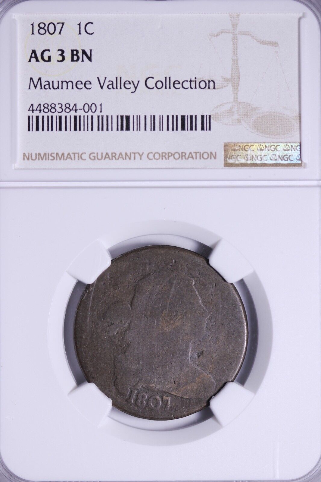 1807 Draped Bust Large Cent Ngc Ag 3 Problem-free Early Date Dhm